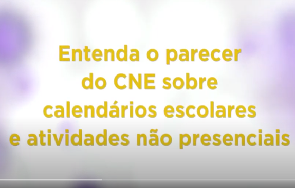 Entenda o parecer do CNE sobre calendários escolares e atividades não presenciais